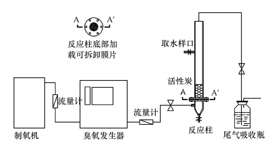 好色先生下载苹果手机安装网页版+活性炭實驗方案